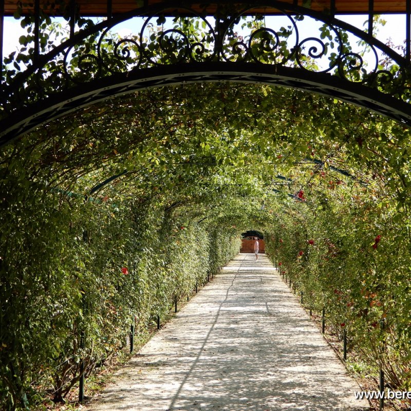 berettyóújfalu az esterházy barokk ételfőző fesztiválon 37